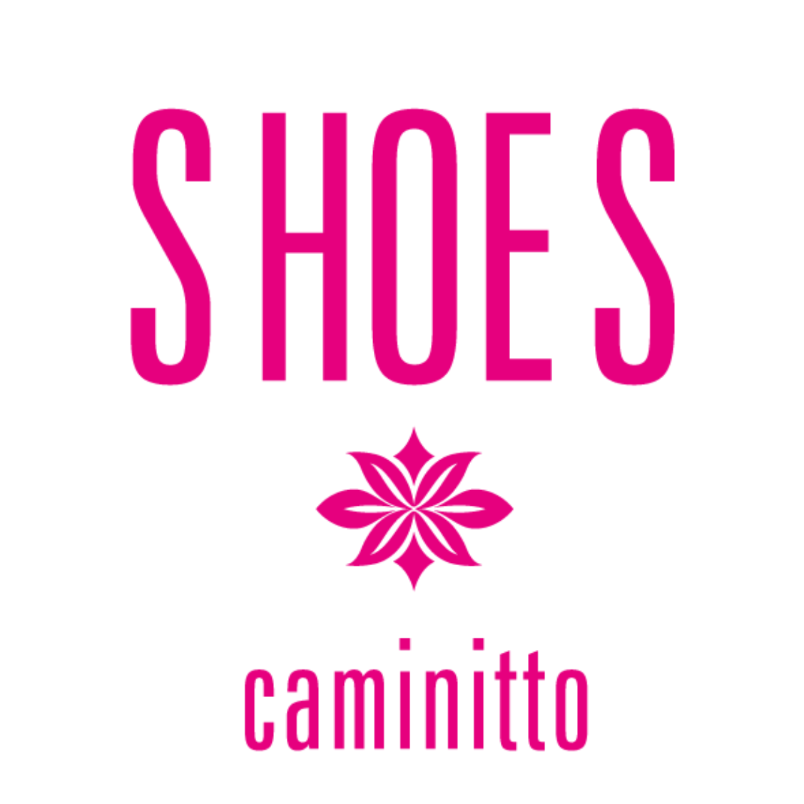Shoes Teste